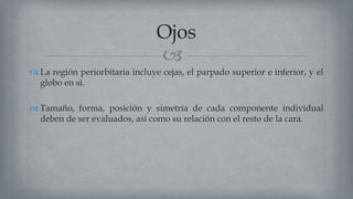 
 La región periorbitaria incluye cejas, el parpado superior e inferior, y el
globo en si.
 Tamaño, forma, posición y simetría de cada componente individual
deben de ser evaluados, así como su relación con el resto de la cara.
Ojos
 
