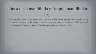 
 La evaluación de la línea de la mandíbula debe incluir una evaluación
de su contorno y la simetría y su relación con la anchura de la cara tal
como se define por los anchos bicigomático y bitemporal.
Línea de la mandíbula y Angulo mandibular
 