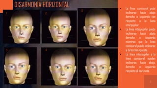Analisis facial.pptx