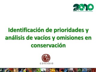 Identificación de prioridades y
análisis de vacíos y omisiones en
conservación
 
