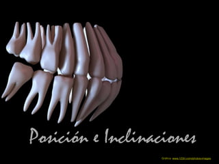 Posición e Inclinaciones
Gráﬁca: www.123rt.com/photos-images
 