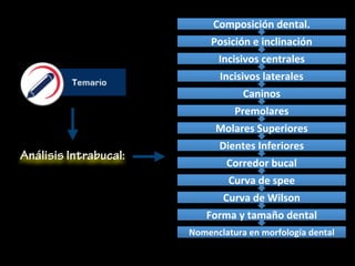 Análisis Intrabucal:
Nomenclatura	en	morfología	dental	
Forma	y	tamaño	dental	
Curva	de	Wilson	
Curva	de	spee	
Corredor	bucal	
Dientes	Inferiores		
Molares	Superiores	
Premolares	
Caninos	
Incisivos	laterales	
Incisivos	centrales	
Posición	e	inclinación		
Composición	dental.		
 