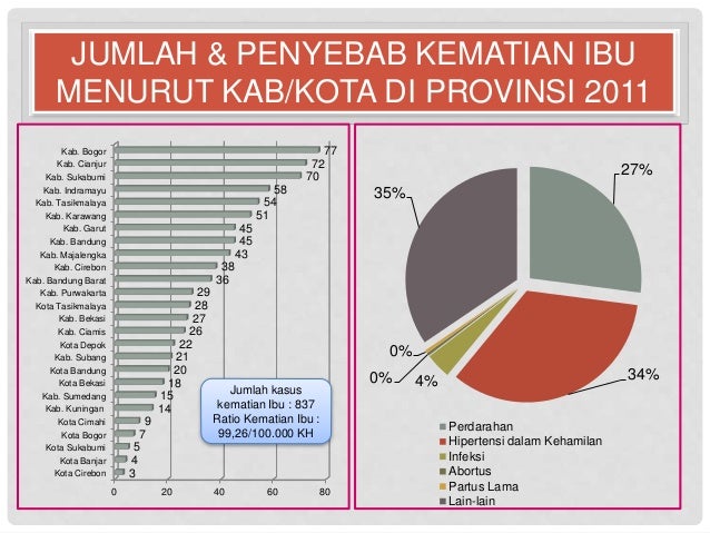 ANALISIS DATA PENYEBAB KEMATIAN IBU DI PROVINSI JAWA BARAT tahun 2013