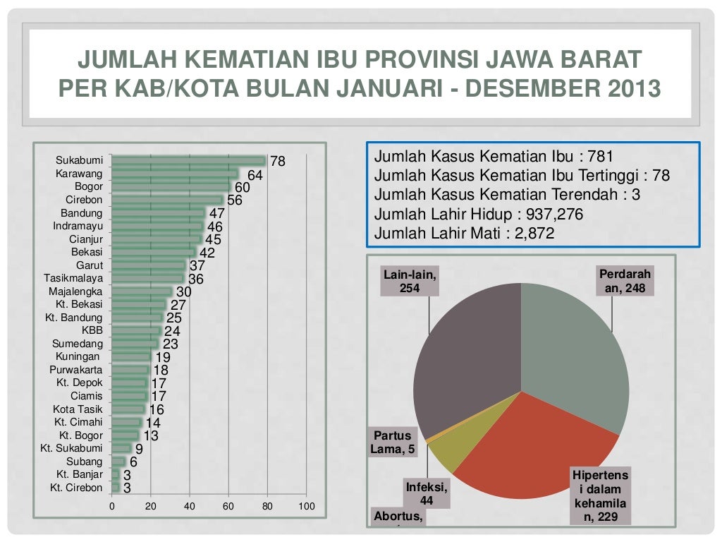 ANALISIS DATA PENYEBAB KEMATIAN IBU DI PROVINSI JAWA BARAT tahun 2013