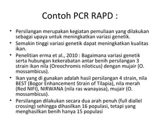 Analisis keragaman genetik_2 | PPT