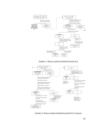 30
Gambar 1. Skema analisis kualitatif metode H2S
Gambar 2. Skema analisis kualitatif metode H2S lanjutan
 