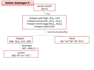 Kation Golongan II
Larutan Contoh
(Gol II)
+ H2S
Endapan putih (HgS , Bi2S3 , CuS)
Endapan kuning (CdS , As2S3 , As2S5)
Endapan merah jingga (Sb2S3 , Sb2S3)
Endapan coklat (SnS)
+ ammonium polysulfida
Endapan
(HgS , Bi2S3 , CuS , CdS)
Filtrat
(As3+ As5+ Sb3+ Sb5+ Sn2+)
Aquaregia
(HCl : HNO3) 3 : 1
Larutan
(Hg2+ Bi3+ Cu2+ Cd2+)
 