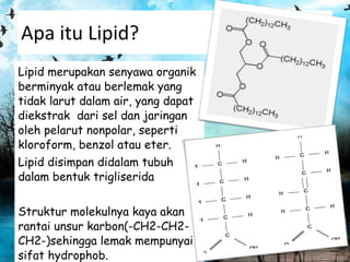Apa itu Lipid? ,[object Object],[object Object],[object Object]