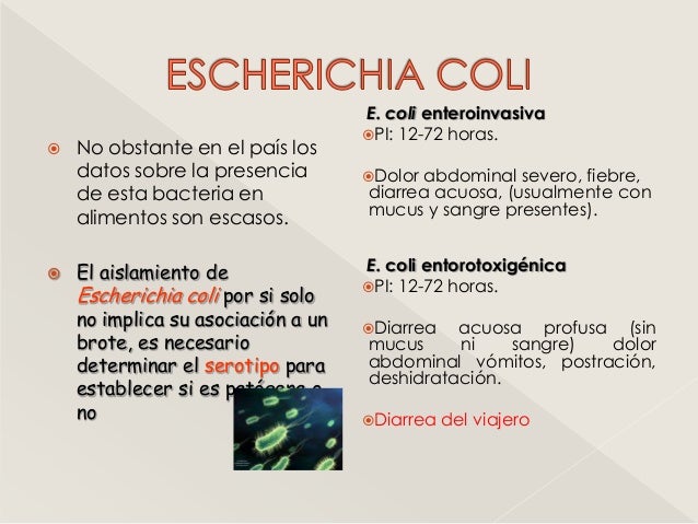 Los foros de las personas con la osteocondrosis
