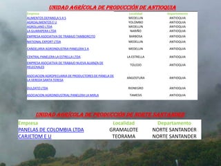 Unidad Agrícola De Producción de Antioquia
   Empresa                                                Localidad          Departamento
   ALIMENTOS DEPANELA S A S                               MEDELLIN            ANTIOQUIA
   AGROALIMENTOS E U                                      YOLOMBO             ANTIOQUIA
   AGROLLANO LTDA                                         MEDELLIN            ANTIOQUIA
   LA GUARAPERA LTDA                                       NARIÑO             ANTIOQUIA
   EMPRESA ASOCIATIVA DE TRABAJO TAMBORCITO                BARBOSA            ANTIOQUIA
   NATIONAL EXPORT LTDA                                   MEDELLIN            ANTIOQUIA

   CANDELARIA AGROINDUSTRIA PANELERA S A                  MEDELLIN            ANTIOQUIA

   CENTRAL PANELERA LA ESTRELLA LTDA                      LA ESTRELLA         ANTIOQUIA
   EMPRESA ASOCIATIVA DE TRABAJO NUEVA ALIANZA DE
                                                           TOLEDO             ANTIOQUIA
   HELECHALES

   ASOCIACION AGROPECUARIA DE PRODUCTORES DE PANELA DE
                                                          ANGOSTURA           ANTIOQUIA
   LA VEREDA SANTA TERESA

   DULZATO LTDA                                           RIONEGRO            ANTIOQUIA

   ASOCIACION AGROINDUSTRIAL PANELERA LA MIRLA             TAMESIS            ANTIOQUIA




        Unidad Agrícola De Producción de Norte Santander
Empresa                                              Localidad           Departamento
PANELAS DE COLOMBIA LTDA                            GRAMALOTE           NORTE SANTANDER
CARJETOM E U                                         TEORAMA            NORTE SANTANDER
 