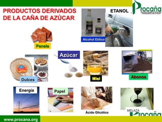 PRODUCTOS DERIVADOS                                    ETANOL
DE LA CAÑA DE AZÚCAR


                                    Alcohol Etílico

                Panela

                           Azúcar



                                          Miel                  Abonos
       Dulces

      Energía            Papel




                                     Ácido Glicólico

www.procana.org
 
