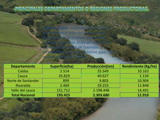 Caña de Azúcar: La producción de caña se
                     concentra en el Valle del Cauca, en ese
                     departamento se localizan importantes
                     ingenios azucareros. El 8% del total de los
                     cultivos permanentes de Colombia
                     corresponden a la caña de azúcar, para ello se
                     ocupan más de 197.000 ha.

  Departamento           Superficie(ha)         Producción(ton)       Rendimiento (Kg/ha)
      Caldas                  2.514                   25.549                  10.163
      Cauca                  35.829                   40.627                   1.134
Norte de Santander              899                    9.803                  10.904
     Risaralda                2.469                   29.253                  11.848
  Valle del cauca           151.712                2.198.448                  14.491
  Total Nacional            193.423                2.303.680                  11.910
 
