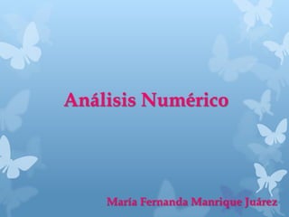 Análisis Numérico




    María Fernanda Manrique Juárez
 