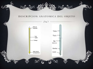 DESCRIPCION ANATOMICA DEL OBJETO