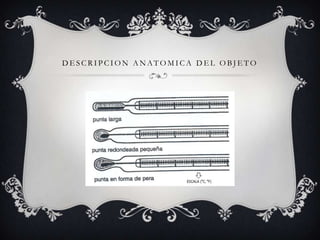 DESCRIPCION ANATOMICA DEL OBJETO