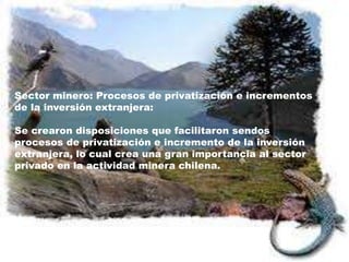 Sector minero: Procesos de privatización e incrementos
de la inversión extranjera:
Se crearon disposiciones que facilitaron sendos
procesos de privatización e incremento de la inversión
extranjera, lo cual crea una gran importancia al sector
privado en la actividad minera chilena.
 