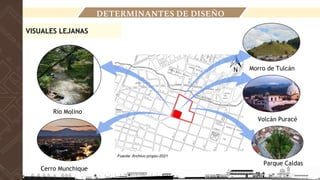 VISUALES LEJANAS
Río Molino
Cerro Munchique
Morro de Tulcán
Volcán Puracé
Parque Caldas
DETERMINANTES DE DISEÑO
Fuente: Archivo propio-2021
 