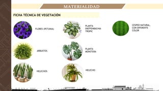 MATERIALIDAD
FICHA TÉCNICA DE VEGETACIÓN
FLORES (PETUNIA)
ARBUSTOS
HELECHOS
PLANTA
DIEFFENBACHIA
TROPIC
PLANTA
MONSTERA
HELECHO
CESPED NATURAL,
CON DIFERENTE
COLOR
 