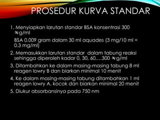 PROSEDUR KURVA STANDAR
1. Menyiapkan larutan standar BSA konsentrasi 300
g/ml
BSA 0.009 gram dalam 30 ml aquades (3 mg/10 ml =
0.3 mg/ml)
2. Memasukkan larutan standar dalam tabung reaksi
sehingga diperoleh kadar 0, 30, 60,…300 g/ml
3. Ditambahkan ke dalam masing-masing tabung 8 ml
reagen lowry B dan biarkan minimal 10 menit
4. Ke dalam masing-masing tabung ditambahkan 1 ml
reagen lowry A, kocok dan biarkan minimal 20 menit
5. Diukur absorbansinya pada 750 nm
 