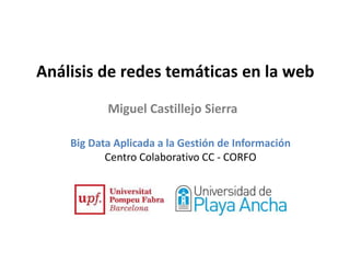 Análisis de redes temáticas en la web 
Miguel Castillejo Sierra 
Big Data Aplicada a la Gestión de Información 
Centro Colaborativo CC - CORFO 
 