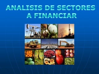 ANALISIS DE SECTORES  A FINANCIAR 