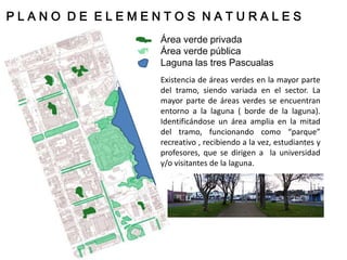 PLANO DE ELEMENTOS NATURALES
              Área verde privada
              Área verde pública
              Laguna las tres Pascualas
              Existencia de áreas verdes en la mayor parte
              del tramo, siendo variada en el sector. La
              mayor parte de áreas verdes se encuentran
              entorno a la laguna ( borde de la laguna).
              Identificándose un área amplia en la mitad
              del tramo, funcionando como “parque”
              recreativo , recibiendo a la vez, estudiantes y
              profesores, que se dirigen a la universidad
              y/o visitantes de la laguna.
 