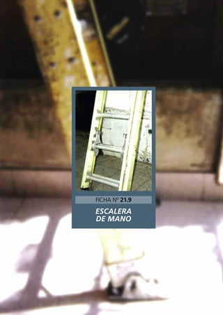 ESCALERA
DE MANO
FICHA Nº 21.9
 