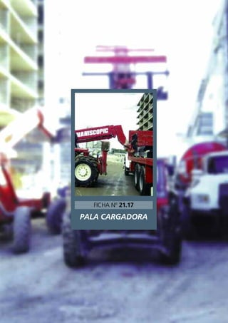 PALA CARGADORA
FICHA Nº 21.17
 