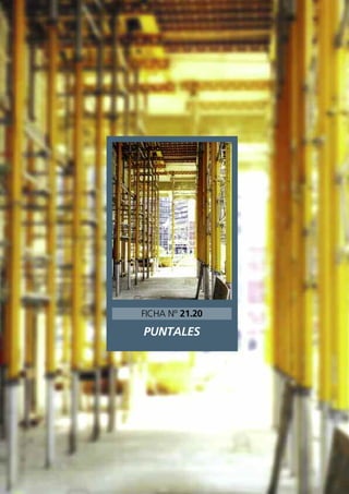 PUNTALES
FICHA Nº 21.20
 
