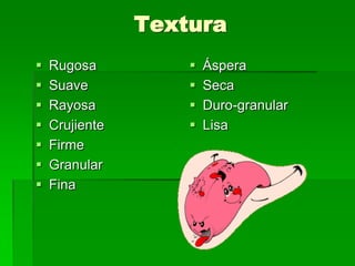 Textura








Rugosa
Suave
Rayosa
Crujiente
Firme
Granular
Fina






Áspera
Seca
Duro-granular
Lisa

 