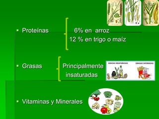  Proteínas

 Grasas

6% en arroz
12 % en trigo o maíz

Principalmente
insaturadas

 Vitaminas y Minerales

 