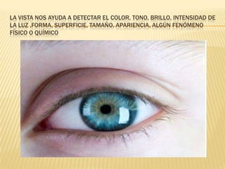 LA VISTA NOS AYUDA A DETECTAR EL COLOR, TONO, BRILLO, INTENSIDAD DE
LA LUZ ,FORMA, SUPERFICIE, TAMAÑO, APARIENCIA, ALGÚN FENÓMENO
FÍSICO O QUÍMICO
 