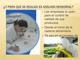 ¿Y PARA QUE SE REALIZA ES ANÁLISIS SENSORIAL?
                           Las empresas lo usan
                            para el control de
                            calidad de sus
                            productos
                           Desde el inicio de la
                            cadena alimentaria
                           Ya sea en el proceso de
                            desarrollo o el de
                            rutina.
 