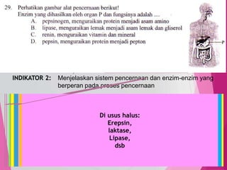 TedY
SKL 12: 6 INDIKATOR
SKL : Menjelaskan sistem organ pada manusia
INDIKATOR 2: Menjelaskan sistem pencernaan dan enzim-enzim yang
berperan pada proses pencernaan
30
C1 PENGETAHUAN/
C2 PEMAHAMAN
MENJELASKAN, menerangkan
menyimpulkan
Alat pencernaan manusia:
mulut,
kerongkongan,
lambung,
usus halus (12 jari,
usus kosong,
usus penyerapan),
usus besar,
anus
Enzim yang berperan dalam pencernaan:Ptialin: mengubah amilum menjadi maltosa (di mulut)
Di pankreas:
Amilase : mengubah amilum menjadi disakarida
Lipase : lemak menjadi asam lemak dan gliselol
Tripsin : protein menjadi asam amino
Di Lambung
HCl : pengasaman lambung, bunuh kuman,aktifkan
pepsinogen menjadi pepsin
pepsin : mengubah protein menjadi pepton
renin : menggumpalkan protein susu/kasein
Di usus halus:
Erepsin,
laktase,
Lipase,
dsb
 