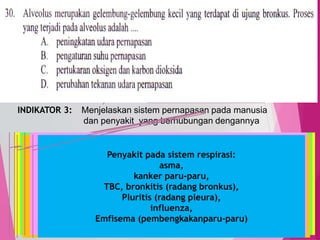TedY
SKL 12: 6 INDIKATOR
SKL : Menjelaskan sistem organ pada manusia
INDIKATOR 3: Menjelaskan sistem pernapasan pada manusia
dan penyakit yang berhubungan dengannya
31
C1 PENGETAHUAN/
C2 PEMAHAMAN
MENJELASKAN, menerangkan
menyimpulkan
Alat pernapasan pada manusia:
Rongga hidung,
laring,
batang tenggorok (trakea),
bronkia,
bronkeolus,
paru-paru.
Proses pernapasan:
Inspirasi (menarik nafas): diafragma dan otot antar tulang rusuk
kontraksi, tulang rusuk terangkat, rongga dada mengembang dan
udara masuk
Ekspirasi (menghembuskan nafas): diafragma dan otot antar tulang
rusuk melemas, tulang rusuk menurun, rongga dada mengempis dan
udara keluar.
Pernapasan dada dan pernapasan perutVolume udara pernapasan
Penyakit pada sistem respirasi:
asma,
kanker paru-paru,
TBC, bronkitis (radang bronkus),
Pluritis (radang pleura),
influenza,
Emfisema (pembengkakanparu-paru)
 
