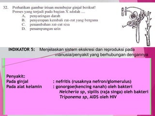 TedY
SKL 12: 6 INDIKATOR
SKL : Menjelaskan sistem organ pada manusia
INDIKATOR 5: Menjelaskan sistem ekskresi dan reproduksi pada
manusia/penyakit yang berhubungan dengannya
33
C1 PENGETAHUAN/
C2 PEMAHAMAN
MENJELASKAN, menerangkan
menyimpulkan
Alat ekskresi: hati, kulit, paru-paru dan ginjal
Sistem urinaria: ginjal, ureter, kandung kemih, uretra. (GUKUTRA)
Proses pembentukan urin: filtrasi di ginjal, reabsorbsi di tubulus
proksimal, augmentasi ditubulus distal. (di singkat FRA)
Bagian ginjal: koteks, medula, pelvis/rongga.
Reproduksi generatif (kawin) dan reproduksi vegetatif (tak kawin)
Alat kelamin pria: testis-epididimis-vas deferent-vesika seminalis-
kelenjar prostat-penis
Alat kelamin wanita bagian dalam: ovarium, oviduk/tuba palopi-rahim-
vagina
Menstruasi: luruhnya dinding rahim, sel telur tidak buahi
Penyakit:
Pada ginjal : nefritis (rusaknya nefron/glomerulus)
Pada alat kelamin : gonorgoe(kencing nanah) oleh bakteri
Neicheria sp, sipilis (raja singa) oleh bakteri
Triponema sp, AIDS oleh HIV
 