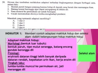 TedY
SKL 14: 3 INDIKATOR
SKL : Mengaplikasikan konsep pertumbuhan dan perkembangan,
kelangsungan hidup dan pewarisan sifat pada organisme serta
kaitannya dengan lingkungan, teknologi dan masyarakat
INDIKATOR 1: Memberi contoh adaptasi makhluk hidup dan seleksi
alam dalam kelangsungan hidup makhluk hidup
38
C2 PEMAHAMAN
MENCONTOHKAN,
MENGEMUKAKAN
Adaptasi makhluk hidup:
Morfologi (bentuk luar tubuh):
bentuk paruh, tipe mulut serangga, batang enceng
gondok berongga dll
Fisiologi:
erytrosit dataran tinggi lebih banyak daripada
dataran rendah, kepekatan urin ikan, kerja enzim dll
Tingkah laku:
lumba-lumba muncul ke permukaan air, jati
meranggas dll
Seleksi alam
 