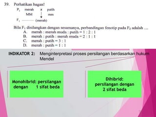 TedY
SKL 14: 4 INDIKATOR
SKL : Mengaplikasikan konsep pertumbuhan dan perkembangan,
kelangsungan hidup dan pewarisan sifat pada organisme serta
kaitannya dengan lingkungan, teknologi dan masyarakat
INDIKATOR 2: Menginterpretasi proses persilangan berdasarkan hukum
Mendel
39
C3 PENERAPAN
MERAMALKAN,
MENILAI,
MENGAITKAN
Monohibrid: persilangan
dengan 1 sifat beda
Dihibrid:
persilangan dengan
2 sifat beda
 