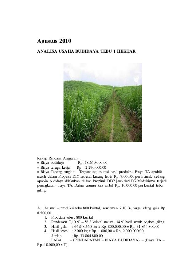 Analisis Usaha Tani Jagung