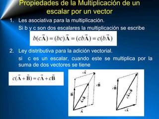 Propiedades de la Multiplicación de un
escalar por un vector
1. Les asociativa para la multiplicación.
Si b y c son dos escalares la multiplicación se escribe
2. Ley distributiva para la adición vectorial.
si c es un escalar, cuando este se multiplica por la
suma de dos vectores se tiene
 