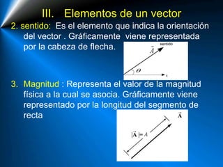 III. Elementos de un vector
2. sentido: Es el elemento que indica la orientación
del vector . Gráficamente viene representada
por la cabeza de flecha.
3. Magnitud : Representa el valor de la magnitud
física a la cual se asocia. Gráficamente viene
representado por la longitud del segmento de
recta
 