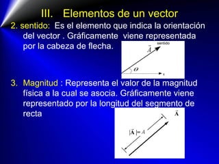 III. Elementos de un vector
2. sentido: Es el elemento que indica la orientación
del vector . Gráficamente viene representada
por la cabeza de flecha.
3. Magnitud : Representa el valor de la magnitud
física a la cual se asocia. Gráficamente viene
representado por la longitud del segmento de
recta
 