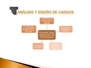 Analisis y diseño de cargo