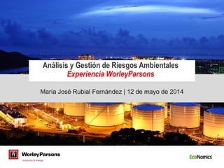 María José Rubial Fernández | 12 de mayo de 2014
Análisis y Gestión de Riesgos Ambientales
Experiencia WorleyParsons
 
