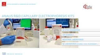 Analis sa/nv Scientific instruments for laboratories | PPTX