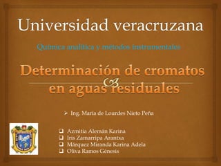 Química analítica y métodos instrumentales 
 Ing. María de Lourdes Nieto Peña 
 Azmitia Alemán Karina 
 Iris Zamarripa ...