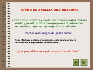 ¿CÓMO SE ANALIZA UNA ORACIÓN?

Vamos a ver un ejemplo muy sencillo para empezar a analizar oraciones
en latín, y para ello tomamos como ejemplo una de las frases que
encontraréis en la primera hoja de ejercicios de traducción:

Puellae rosas magna diligentia curant.
Recordad que estamos trabajando sólo con la primera
declinación y el presente de indicativo.

¿Qué pasos debemos seguir para analizar esta frase?

 
