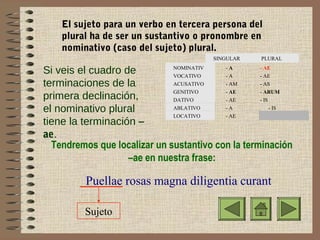 El sujeto para un verbo en tercera persona del
plural ha de ser un sustantivo o pronombre en
nominativo (caso del sujeto) plural.
SINGULAR

PLURAL

NOMINATIV
-A
- AE
Si veis el cuadro de
O
VOCATIVO
-A
- AE
ACUSATIVO
- AM
- AS
terminaciones de la
GENITIVO
- AE
- ARUM
primera declinación,
DATIVO
- AE
- IS
ABLATIVO
-A
- IS
el nominativo plural
LOCATIVO
- AE
tiene la terminación –
ae.
Tendremos que localizar un sustantivo con la terminación
–ae en nuestra frase:

Puellae rosas magna diligentia curant
Sujeto

 