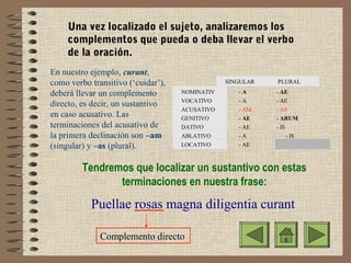 Una vez localizado el sujeto, analizaremos los
complementos que pueda o deba llevar el verbo
de la oración.
En nuestro ejemplo, curant,
como verbo transitivo (‘cuidar’),
deberá llevar un complemento
directo, es decir, un sustantivo
en caso acusativo. Las
terminaciones del acusativo de
la primera declinación son –am
(singular) y –as (plural).

SINGULAR
NOMINATIV
O
VOCATIVO

PLURAL

-A

- AE

ACUSATIVO
GENITIVO
DATIVO

-A
- AM
- AE
- AE

- AE
- AS
- ARUM
- IS

ABLATIVO
LOCATIVO

-A
- AE

- IS

Tendremos que localizar un sustantivo con estas
terminaciones en nuestra frase:

Puellae rosas magna diligentia curant
Complemento directo

 