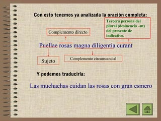 Con esto tenemos ya analizada la oración completa:
Complemento directo

Tercera persona del
plural (desinencia –nt)
del presente de
indicativo.

Puellae rosas magna diligentia curant
Sujeto

Complemento circunstancial

Y podemos traducirla:

Las muchachas cuidan las rosas con gran esmero

 
